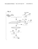 PROMOTER DETECTION AND ANALYSIS diagram and image