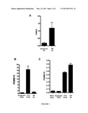 PSMB10: A DIAGNOSIS MARKER AND THERAPEUTIC TARGET OF CHRONIC REJECTION diagram and image