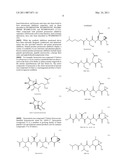 PSMB10: A DIAGNOSIS MARKER AND THERAPEUTIC TARGET OF CHRONIC REJECTION diagram and image