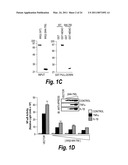 ANTI-INFLAMMATORY COMPOUNDS AND USES THEREOF diagram and image