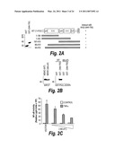 ANTI-INFLAMMATORY COMPOUNDS AND USES THEREOF diagram and image