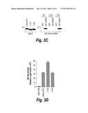 ANTI-INFLAMMATORY COMPOUNDS AND USES THEREOF diagram and image