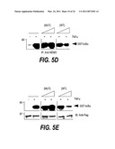 ANTI-INFLAMMATORY COMPOUNDS AND USES THEREOF diagram and image