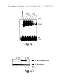 ANTI-INFLAMMATORY COMPOUNDS AND USES THEREOF diagram and image