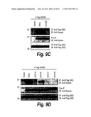 ANTI-INFLAMMATORY COMPOUNDS AND USES THEREOF diagram and image