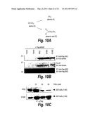 ANTI-INFLAMMATORY COMPOUNDS AND USES THEREOF diagram and image