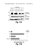 ANTI-INFLAMMATORY COMPOUNDS AND USES THEREOF diagram and image