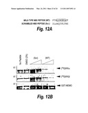 ANTI-INFLAMMATORY COMPOUNDS AND USES THEREOF diagram and image