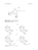 Macrolides Having Antibiotic Activity diagram and image