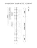 IDENTIFICATION AND USE OF SMALL MOLECULES TO MODULATE TRANSCRIPTION FACTOR FUNCTION AND TO TREAT TRANSCRIPTION FACTOR ASSOCIATED DISEASES diagram and image