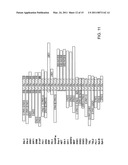 IDENTIFICATION AND USE OF SMALL MOLECULES TO MODULATE TRANSCRIPTION FACTOR FUNCTION AND TO TREAT TRANSCRIPTION FACTOR ASSOCIATED DISEASES diagram and image