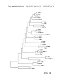 IDENTIFICATION AND USE OF SMALL MOLECULES TO MODULATE TRANSCRIPTION FACTOR FUNCTION AND TO TREAT TRANSCRIPTION FACTOR ASSOCIATED DISEASES diagram and image