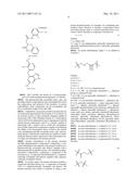 IDENTIFICATION AND USE OF SMALL MOLECULES TO MODULATE TRANSCRIPTION FACTOR FUNCTION AND TO TREAT TRANSCRIPTION FACTOR ASSOCIATED DISEASES diagram and image