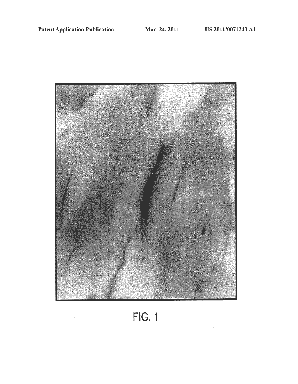 Method for Exfoliating Organoclay to Produce a Nanocomposite - diagram, schematic, and image 02