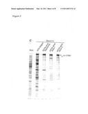 IMMOBILISATION OF CHELATING GROUPS FOR IMMOBILISED METAL ION CHROMATOGRAPHY (IMAC) diagram and image