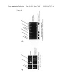 IMMOBILISATION OF CHELATING GROUPS FOR IMMOBILISED METAL ION CHROMATOGRAPHY (IMAC) diagram and image