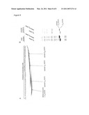 IMMOBILISATION OF CHELATING GROUPS FOR IMMOBILISED METAL ION CHROMATOGRAPHY (IMAC) diagram and image