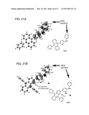 HALOGENATED DIARYLAMINE COMPOUND AND SYNTHESIS METHOD THEREOF diagram and image