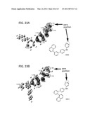 HALOGENATED DIARYLAMINE COMPOUND AND SYNTHESIS METHOD THEREOF diagram and image