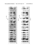 Systems and Methods for Multiple Pitch Tracking diagram and image