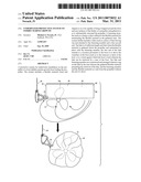 Underwater protective system to inhibit marine growth diagram and image