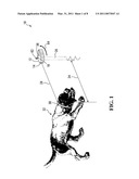 Animal Restraint Apparatus And Related Methods diagram and image