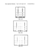 SYSTEM FOR RAPID HIGH-RESOLUTION GEL ELECTROPHORESIS diagram and image