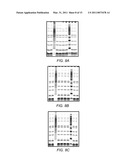 SYSTEM FOR RAPID HIGH-RESOLUTION GEL ELECTROPHORESIS diagram and image