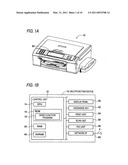 INPUT DEVICE WITH DISPLAY PANEL diagram and image