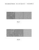 Stain-based optimized compression of digital pathology slides diagram and image