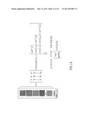 Stain-based optimized compression of digital pathology slides diagram and image