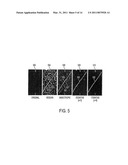 Multi-Level Contextual Learning of Data diagram and image