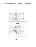 High-resolution, common-path interferometric imaging systems and methods diagram and image