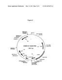 Therapeutic Binding Molecules diagram and image