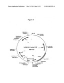 Therapeutic Binding Molecules diagram and image