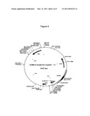 Therapeutic Binding Molecules diagram and image