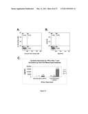 Mixed Cell Populations For Tissue Repair And Separation Technique For Cell Processing diagram and image