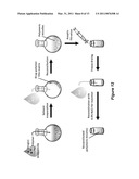 MICELLE ENCAPSULATION OF THERAPEUTIC AGENTS diagram and image