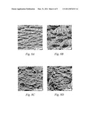 Grafts and Stents Having Inorganic Bio-Compatible Calcium Salt diagram and image