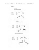 Amphoteric liposomes diagram and image