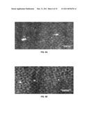 DUST-REPELLENT NANOPARTICLE SURFACES diagram and image