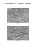 DUST-REPELLENT NANOPARTICLE SURFACES diagram and image