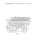 RAPID EPIDEMIOLOGIC TYPING OF BACTERIA diagram and image