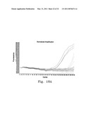 RAPID EPIDEMIOLOGIC TYPING OF BACTERIA diagram and image