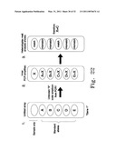 RAPID EPIDEMIOLOGIC TYPING OF BACTERIA diagram and image