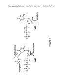 3 -O-FLUORESCENTLY MODIFIED NUCLEOTIDES AND USES THEREOF diagram and image