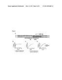 FLUORESCENT MOLECULE diagram and image