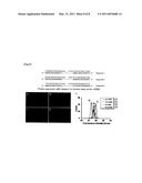 FLUORESCENT MOLECULE diagram and image