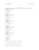 ANTIBODY-PEPTIDE FUSED SYNERGIBODY diagram and image