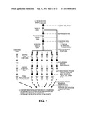 Differential enzymatic fragmentation by whole genome amplification diagram and image